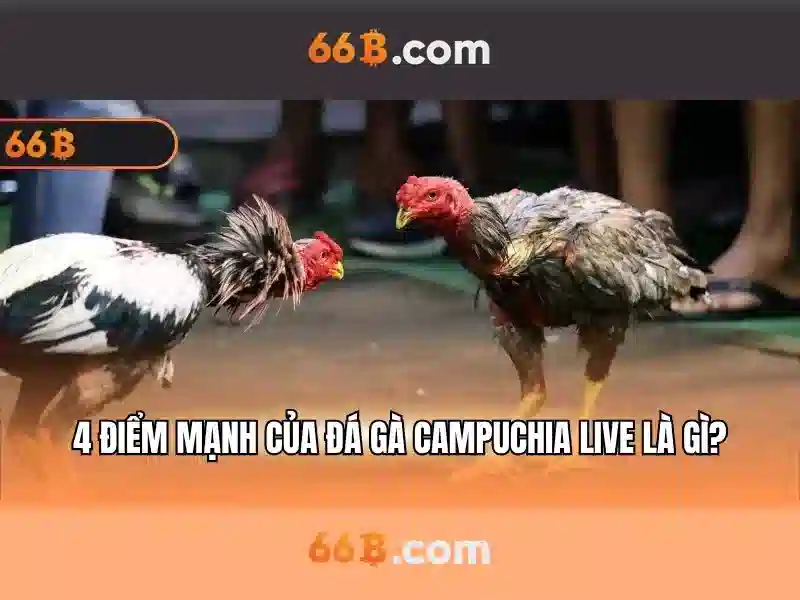 ứng dụng 66b - 66B ứng dụng 66b - 66B