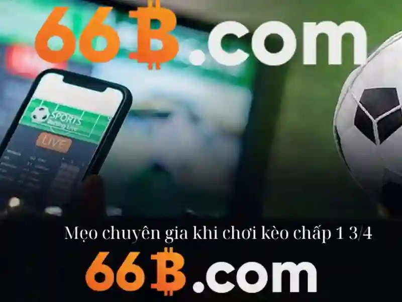 Chính sách bảo mật 66B: Môi trường cá cược Slot an toàn - 66B Chính sách bảo mật 66B: Môi trường cá cược Slot an toàn - 66B